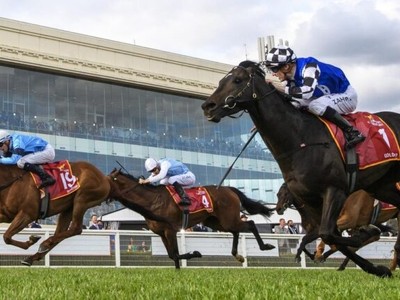 Gold Trip's trainers bullish about Melbourne Cup following ... Image 1